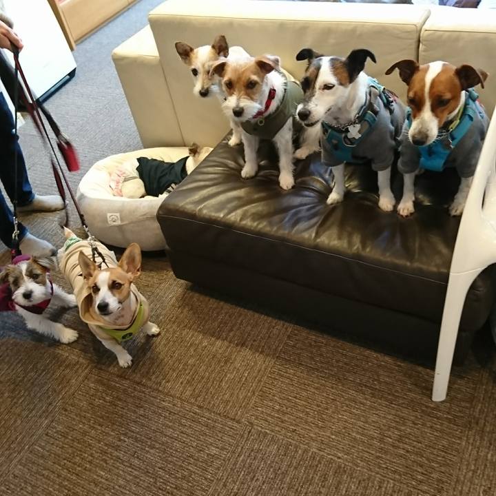 B82f291e d972 4701 af75 261b003e6696 1606133984632