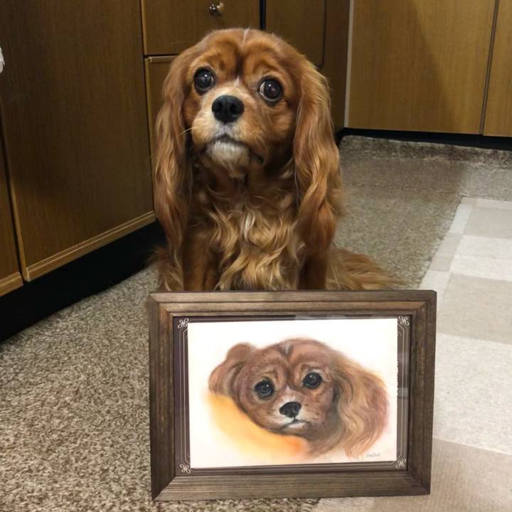 B82f2e25 f4d3 458e af80 3a64f68e8822 1614770086518