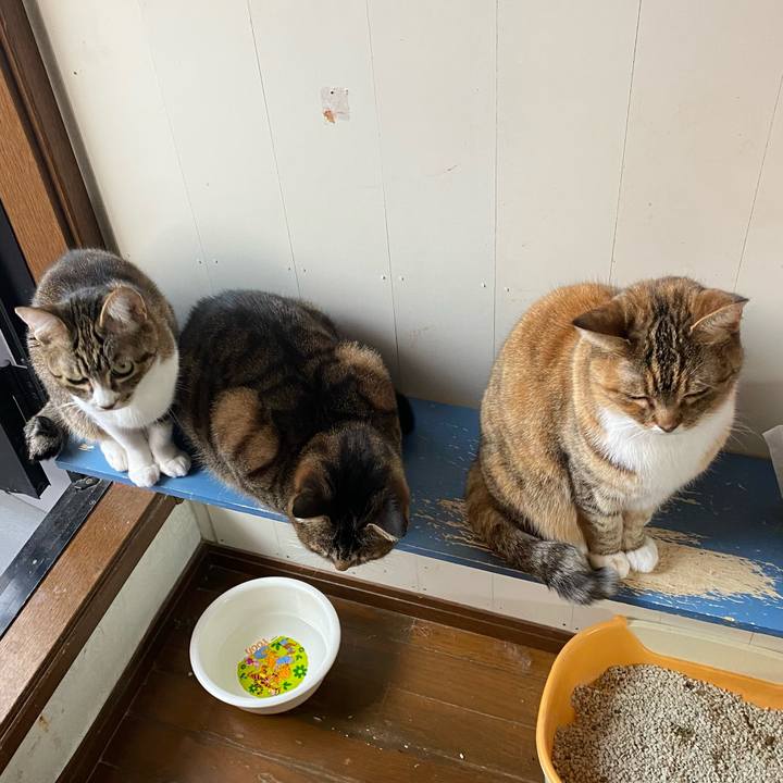 B82f3f3c 13e2 4028 b88c 2d7ae16d2233 1646918653760