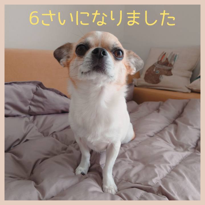 B82f5682 a9d8 4ae9 964c 1f159d39b8ce 1700435202968