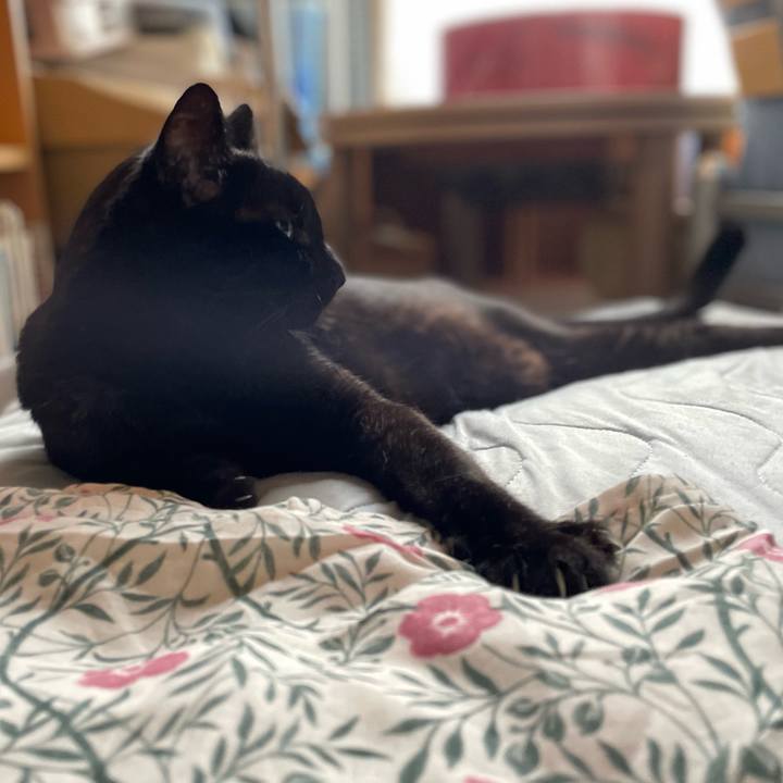 B82f733b 8c9a 4fe1 bee5 5150e8657415 1661390500422