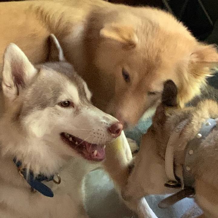 B82f754d ae96 4377 91f6 d4971c1bd749 1599183810075