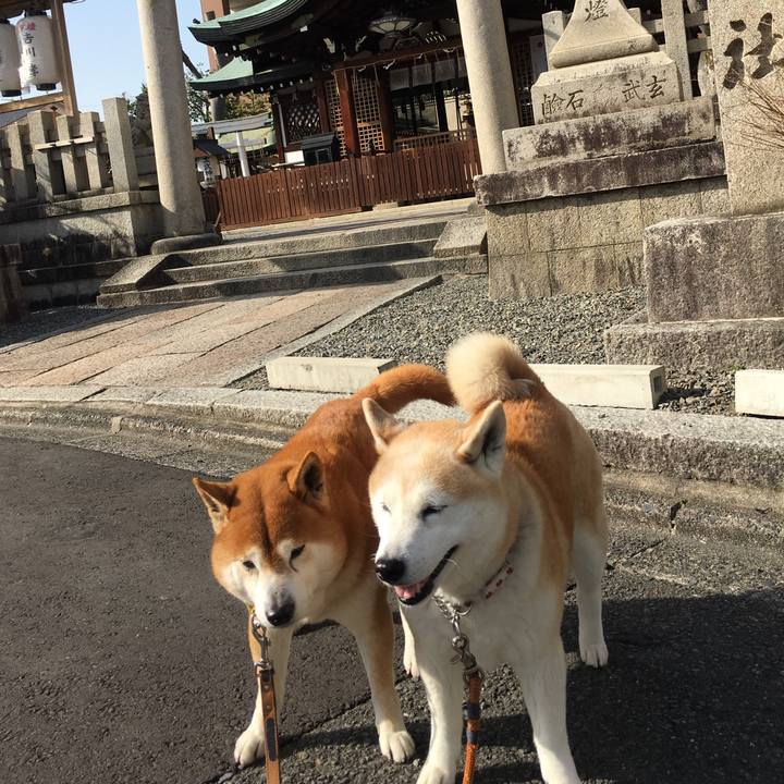 B82f8548 78ae 4baa b963 38e508987760 1522490950909