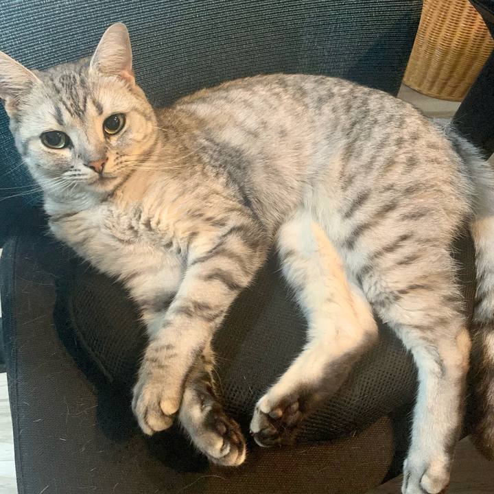 B82f8b63 0c74 48ca 8c5b e2aadff60274 1658807144529