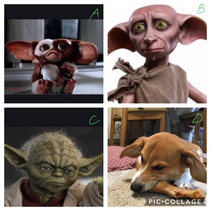 B82f8e3f d7b2 4b11 b26a fbc29b634ee7 1594908471162