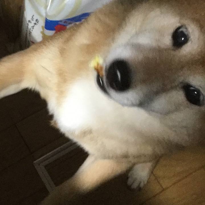 B82fa464 da51 42b8 b8c0 0277272a1783 1612263021848