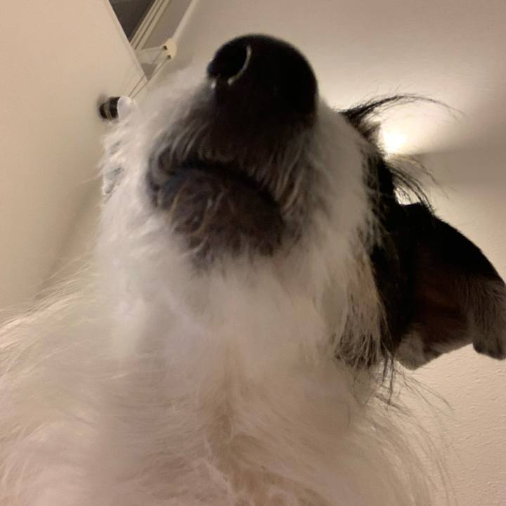 B82fc208 e944 4277 ac58 261eaa79dc42 1741003944700