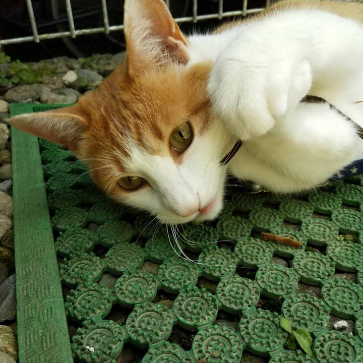 B82fd44c 6420 4eec 8757 93822eec8a3b 1527936711177