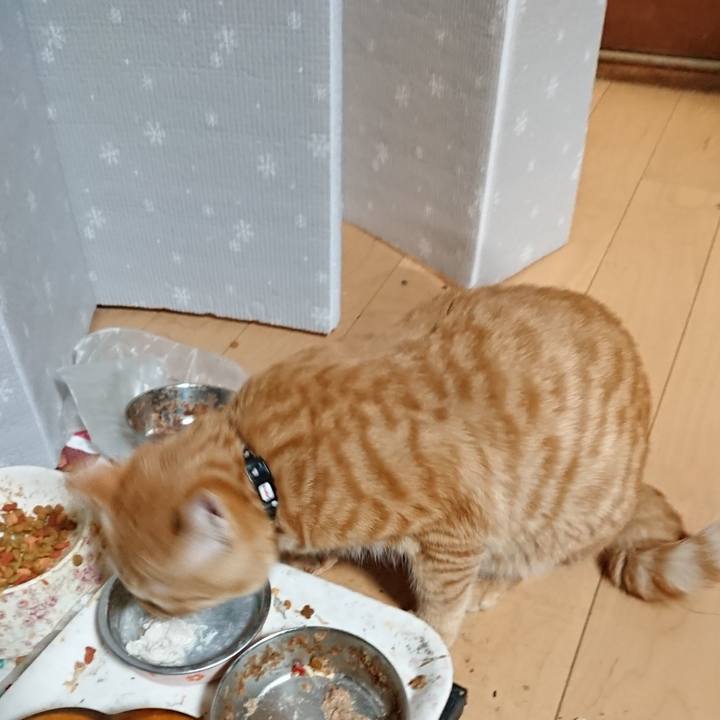 B82fd5fb 3763 41f3 938e 89f1d5b07d48 1640342112245