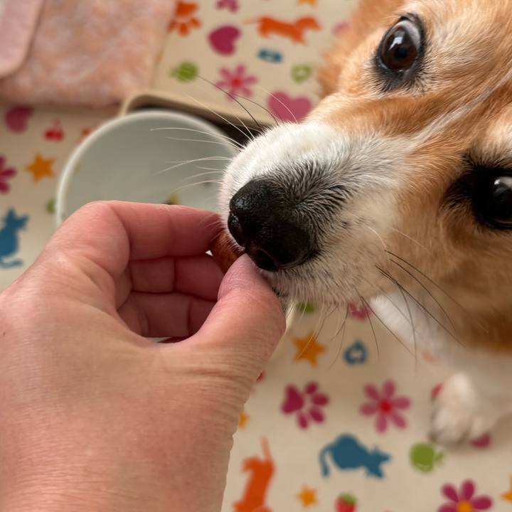 B82fe2e1 41f2 4d3b a4b7 f1703b2a1cfc 1763176292104