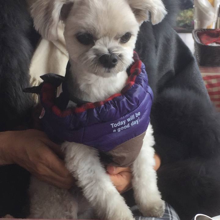 B82fe88e 343d 4043 89c9 04a3cfa395f8 1513502854092