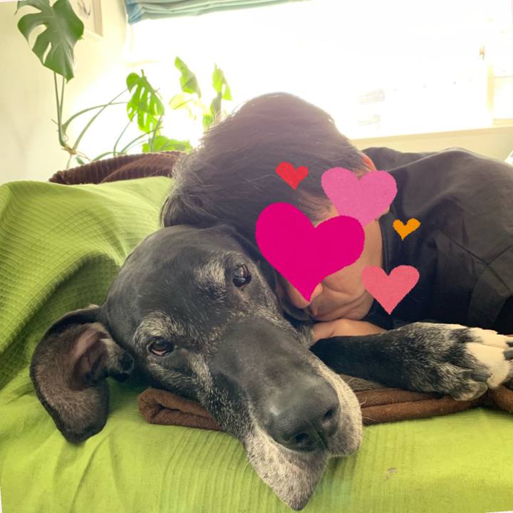 B82ffc99 3ac6 437b 8f3e f36f2bdd8c64 1552470201267