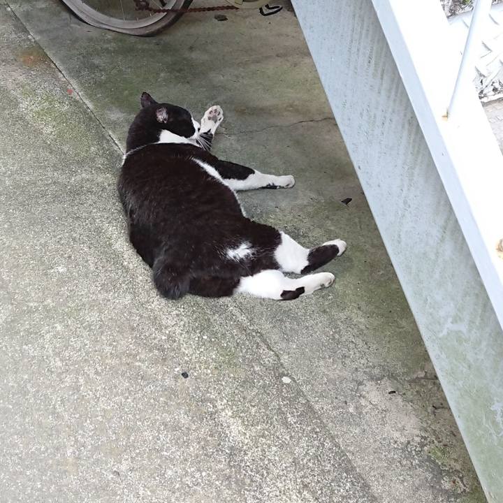 B8301b78 1901 457e a795 c3f59bc4ac08 1629791108728