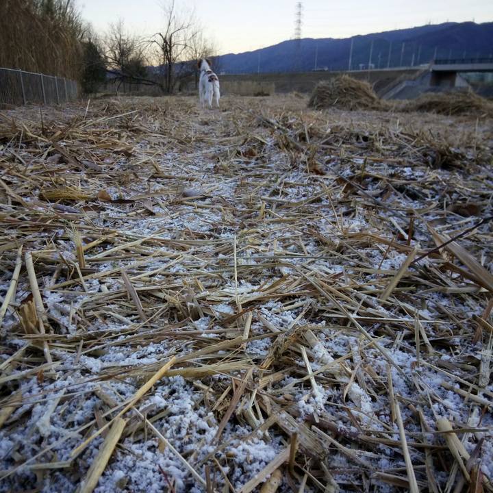 B8302eea 9d25 496e 9c69 5368eae09767 1515717279157