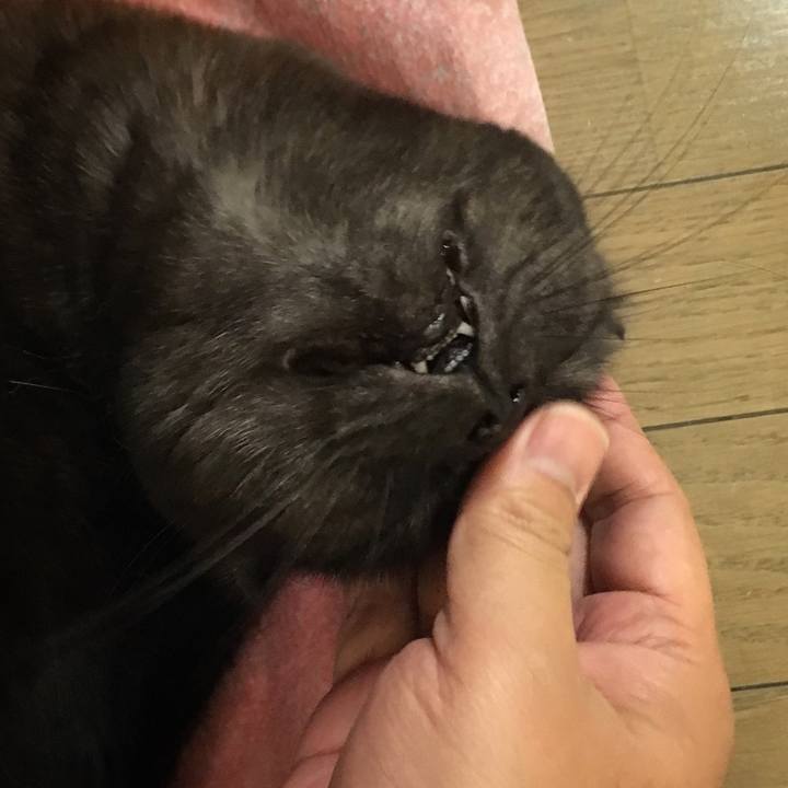 B830e45a 2133 4ed0 addc 106e91aef87f 1519649883853