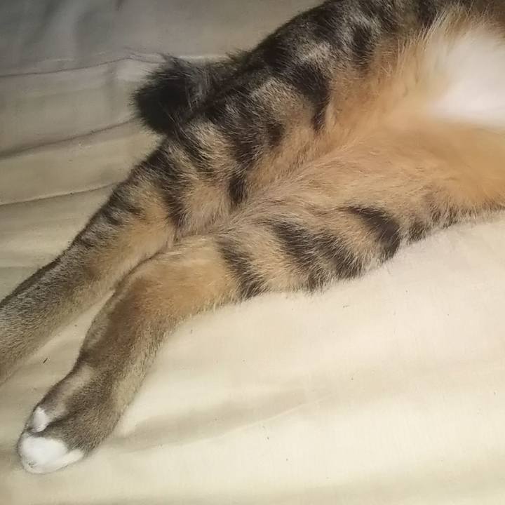 B8311833 39d0 4e4b b61f 2aec515d9e2e 1604288386213