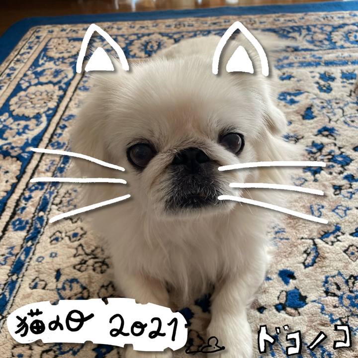 B83161b3 be6a 4f52 807c cd5ce11d6702 1613998272549