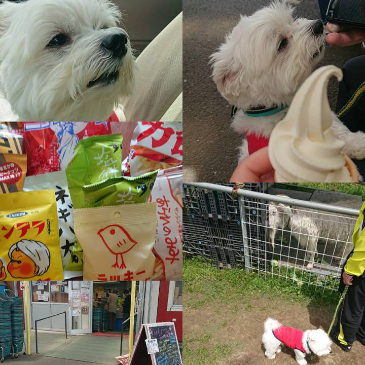 B8316b17 6e54 48a8 9e4e 2b70b6262862 1556872521180