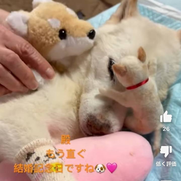 B8318f7e 7748 4e49 a4b4 a16acacc4503 1709114364444