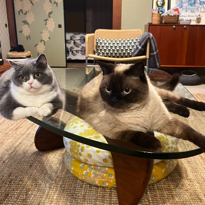 B831b6f9 24b2 4e02 b718 a84fa2b1c687 1658318942860