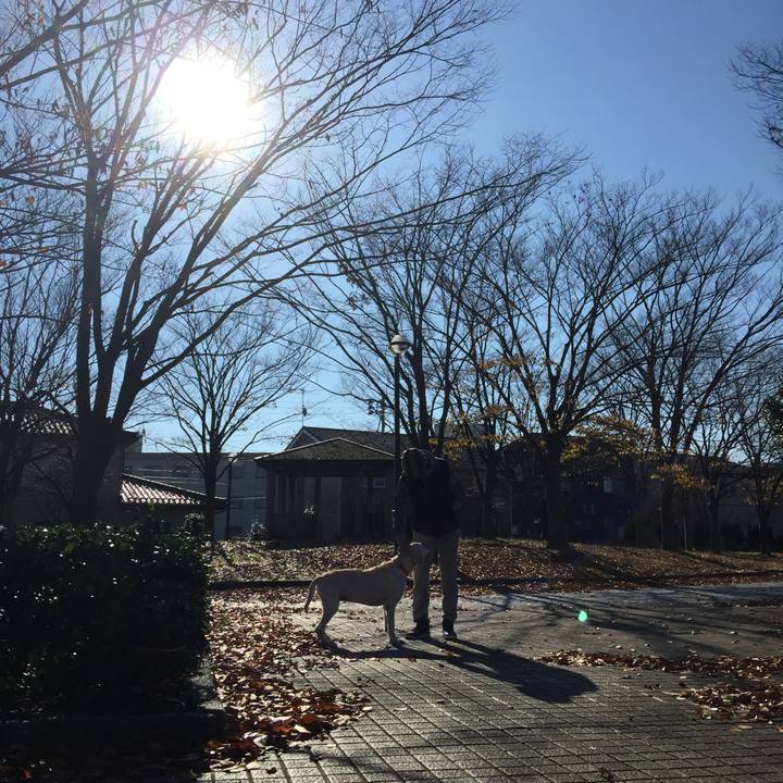 B8320005 bba6 4639 b16b 9b9afc4abada 1565764013749