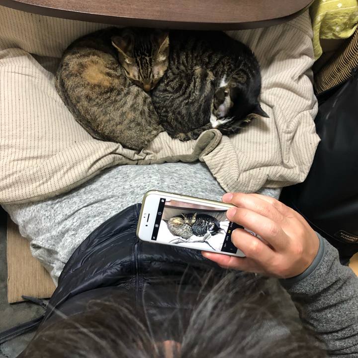 B8320b53 bd8e 495c ab88 3b7327bc23c6 1580525676400