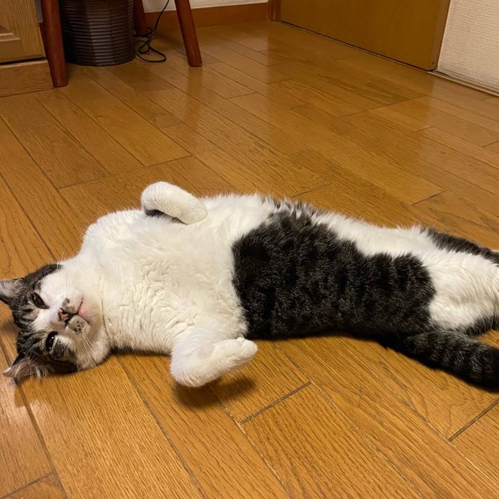 B8321b46 8ff0 4e9c 8579 cd3f547ca272 1725076381247