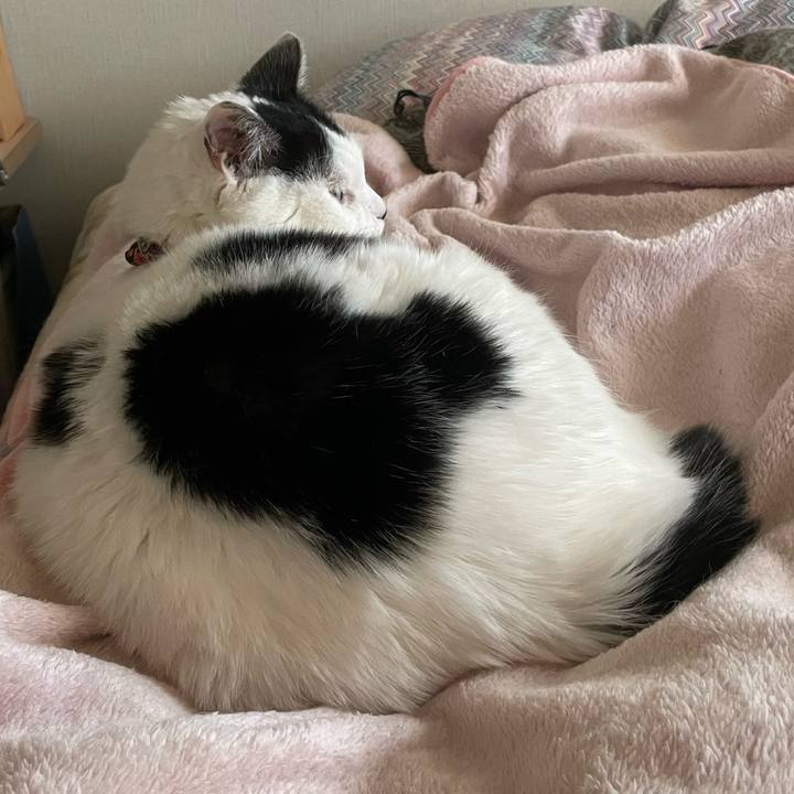 B8326e7d 452b 4e63 bb86 f8320ada5b35 1703230437342