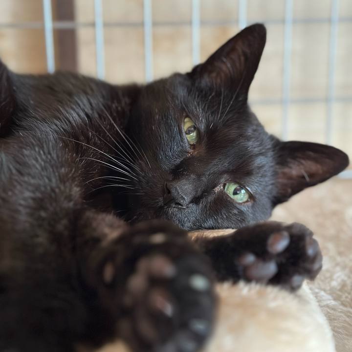 B8327eed 6fe4 4718 a815 2abde331769b 1684719291182