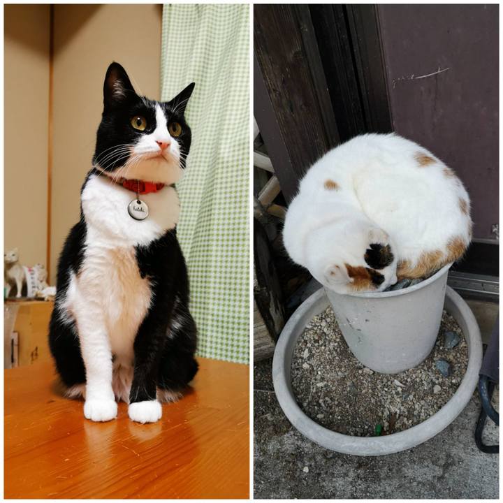 B8329bcd 158a 4f8b 874d 9608e0498661 1668142484056