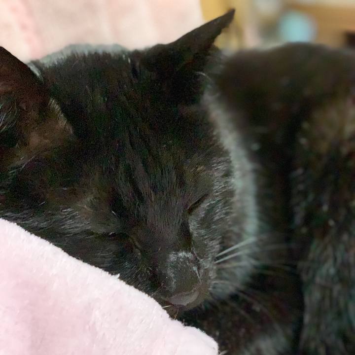 B832d360 4f49 4c0b 898e c089a6019a85 1581902224825