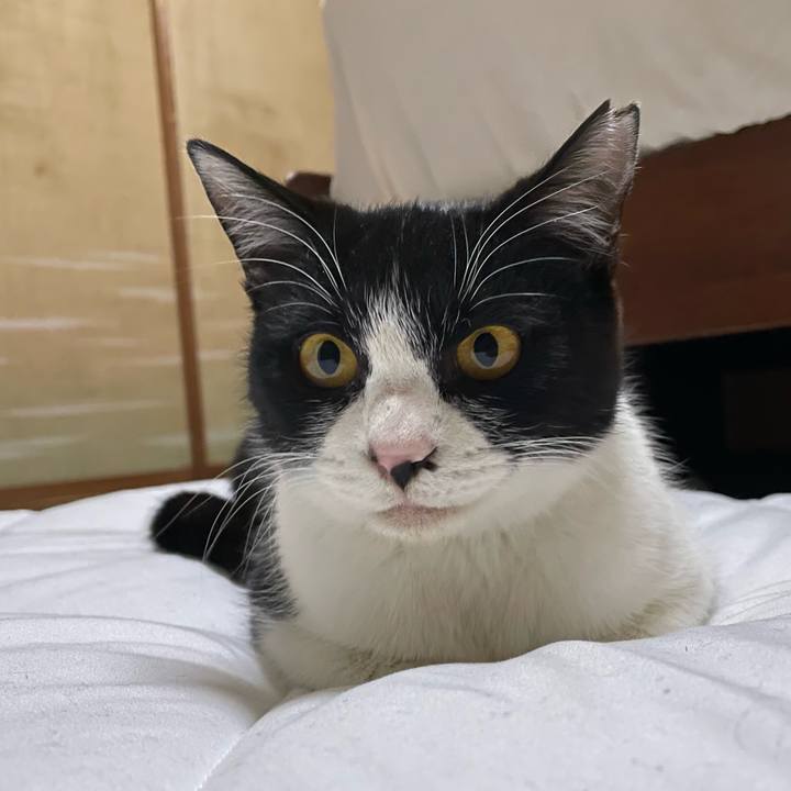 B832e51e 111a 4aa9 9802 6e25df8862ed 1677872754774