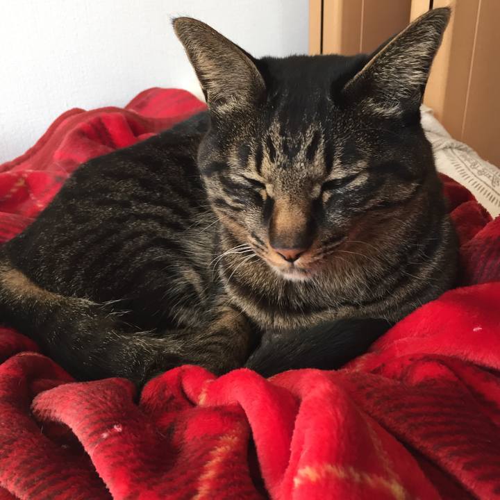 B832e9b3 0413 48d1 a291 35ba07d90c9d 1521414818415