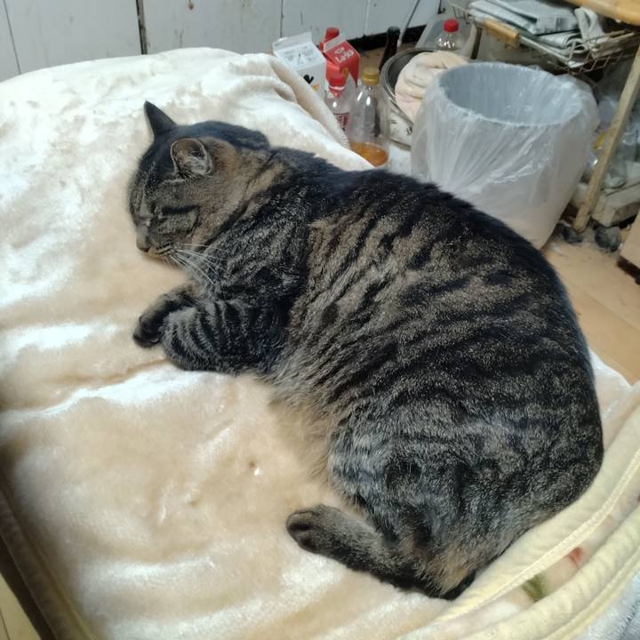 B832f0f8 b159 47f2 95ca f40b8e342fd0 1703990230995