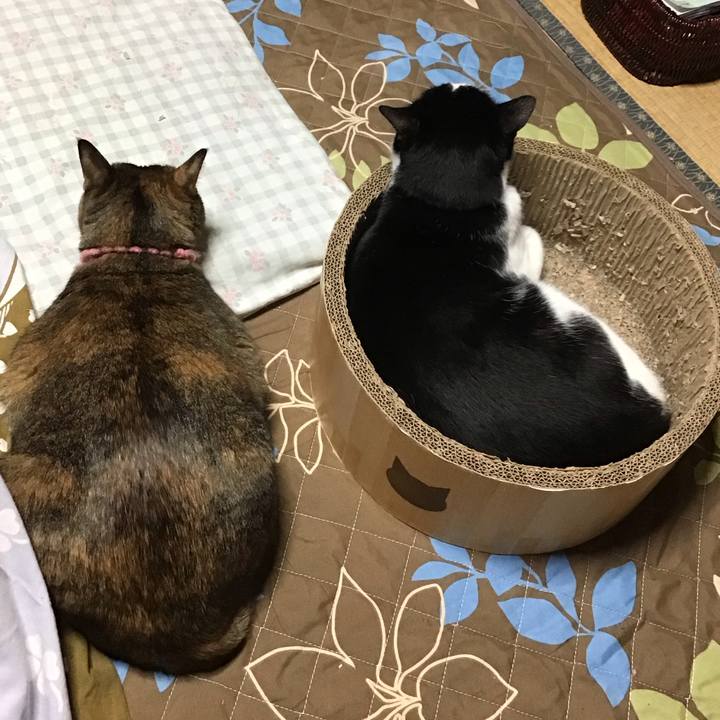 B8333943 c118 4cca 9d0b a01ddc78da15 1732441280160