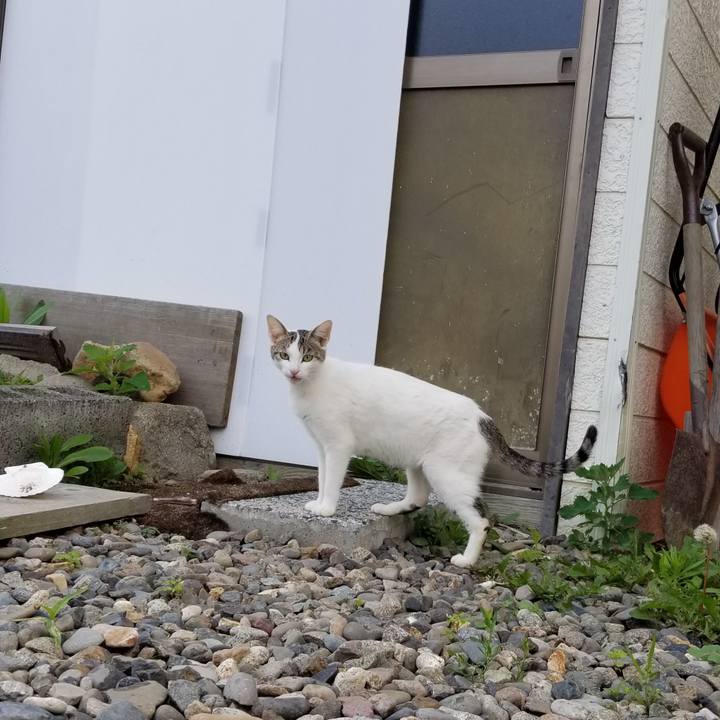 B8333e6a 4507 4317 8543 b02577246a2a 1592470895540