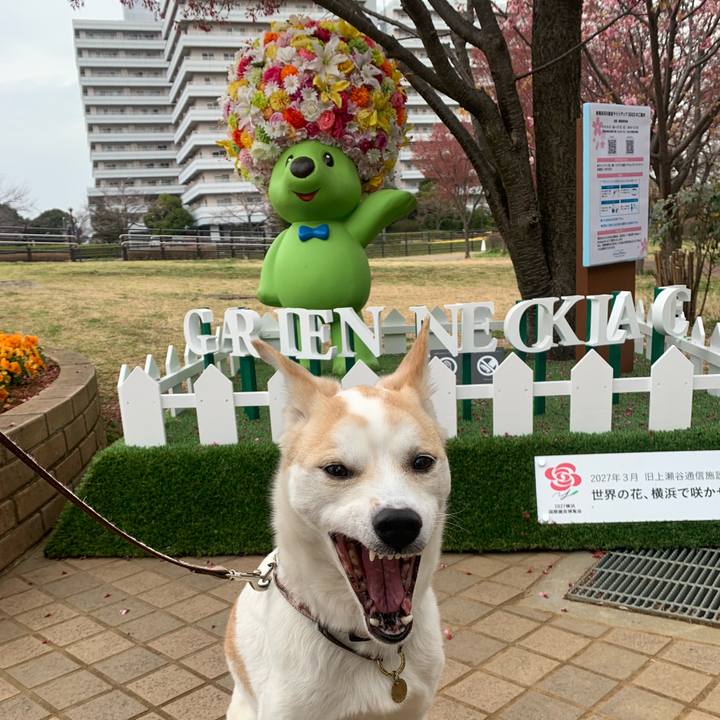 B8335012 084f 43b4 86aa b5d8ef145c77 1648264975389