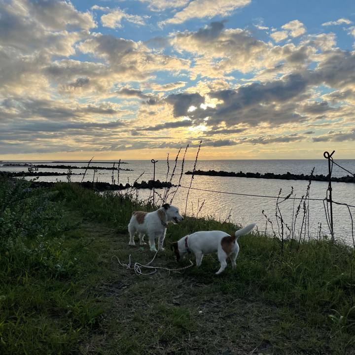 B83358c5 abdd 4de7 8198 5afd1e698ce9 1630573186178