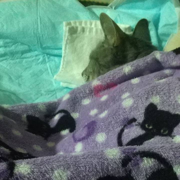 B83368d9 adf3 41e9 b28d 17b7ab4825da 1700061174884