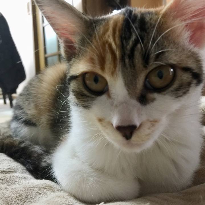 B8337be9 88a9 4c06 8f55 38796a5f69ee 1635822224992