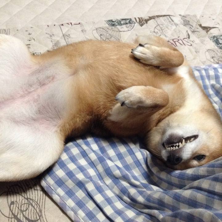 B8337c4a 46b6 4d71 8b2d fc2c9daea7f1 1508670851303