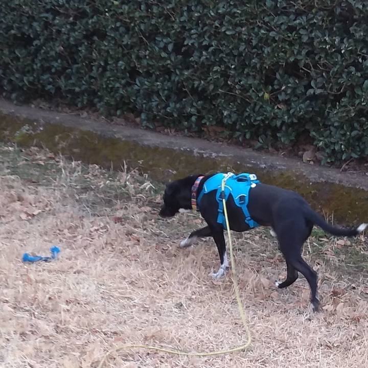 B83381d0 ec77 4a50 baa9 34636a00184c 1613174754908