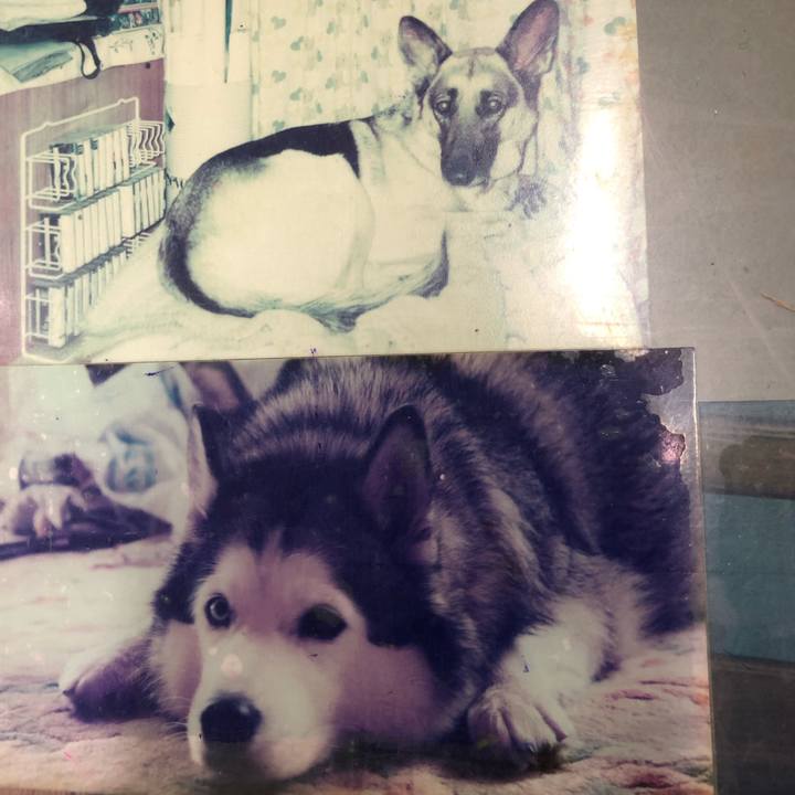 B833b43e a98a 405b 8f39 8158fbaa890c 1553071748484