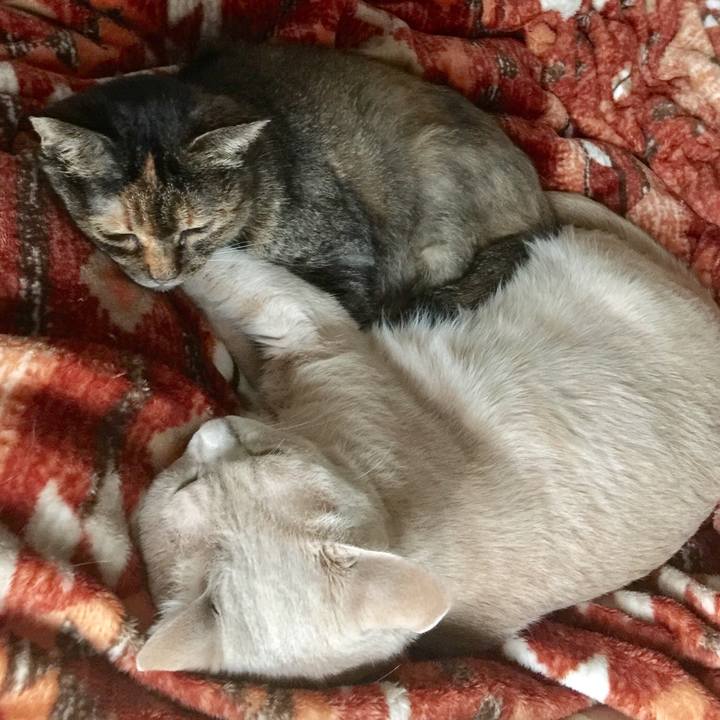 B833e86a 708f 4f35 b785 4a657066402f 1553090770056