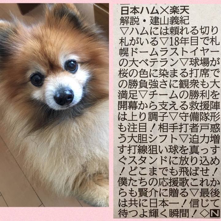B833f825 58a3 42e1 adb1 8113baae694e 1556073764511