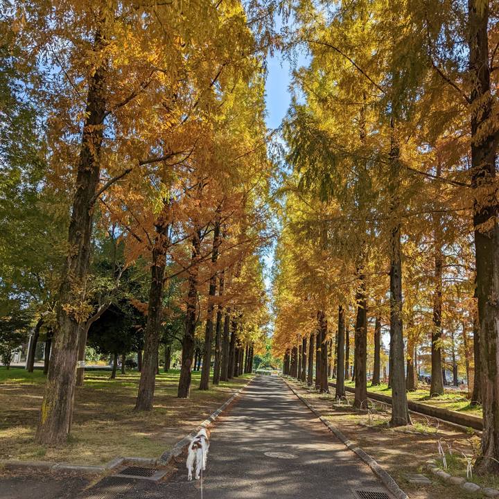 B834375a 0c82 4657 b1c8 50c5e9997498 1668856785900