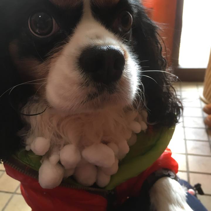 B83462e2 a6e6 4756 af4d bd060bde3aaa 1520682128516