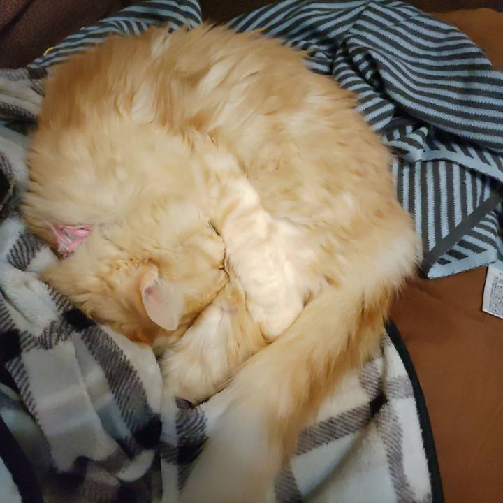 B8347f18 d202 46d8 9bff e5f0654e4c2d 1698071164424