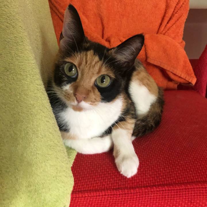 B834821a 9b73 403f aaa4 09da5f7d34a0 1564625371653