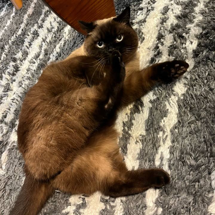 B83487be be6a 4fe4 b810 e62d4b62bb62 1679891301153